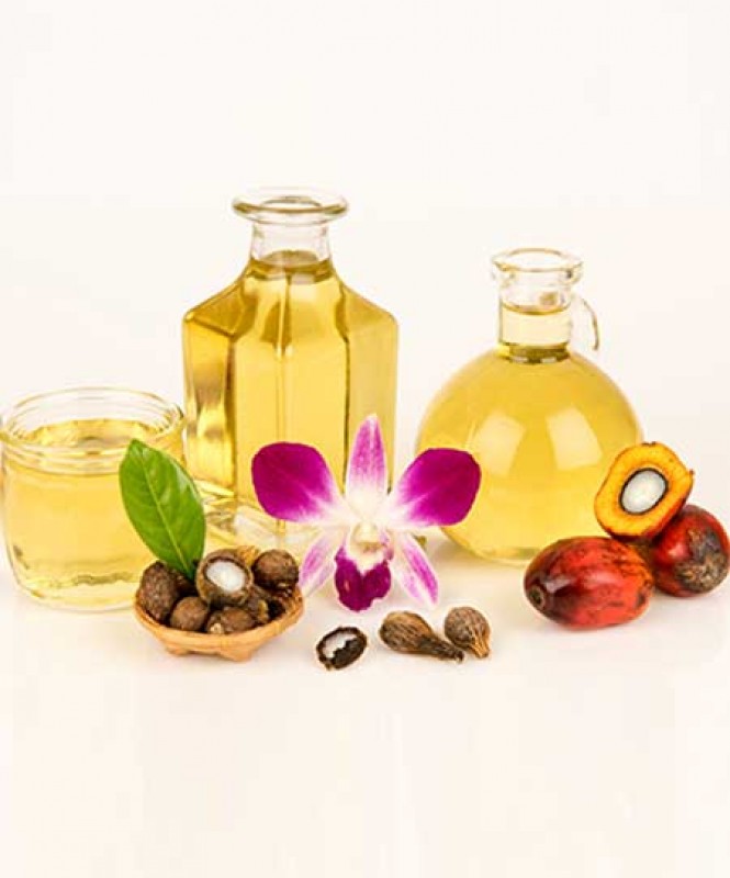 Coconut Oil from Indonesia